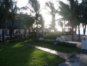 Click to See Next Image